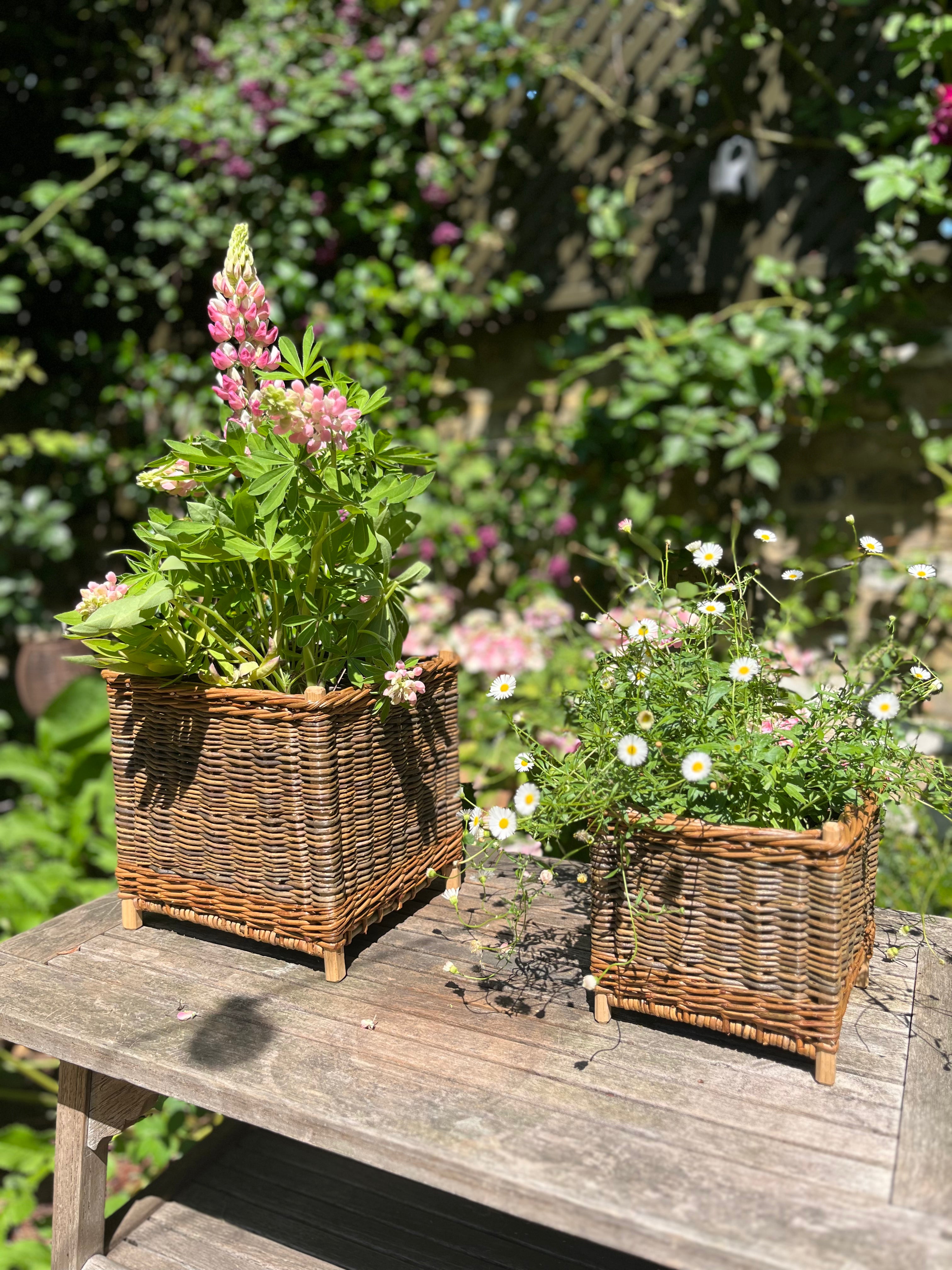 Wicker Cache Pot
