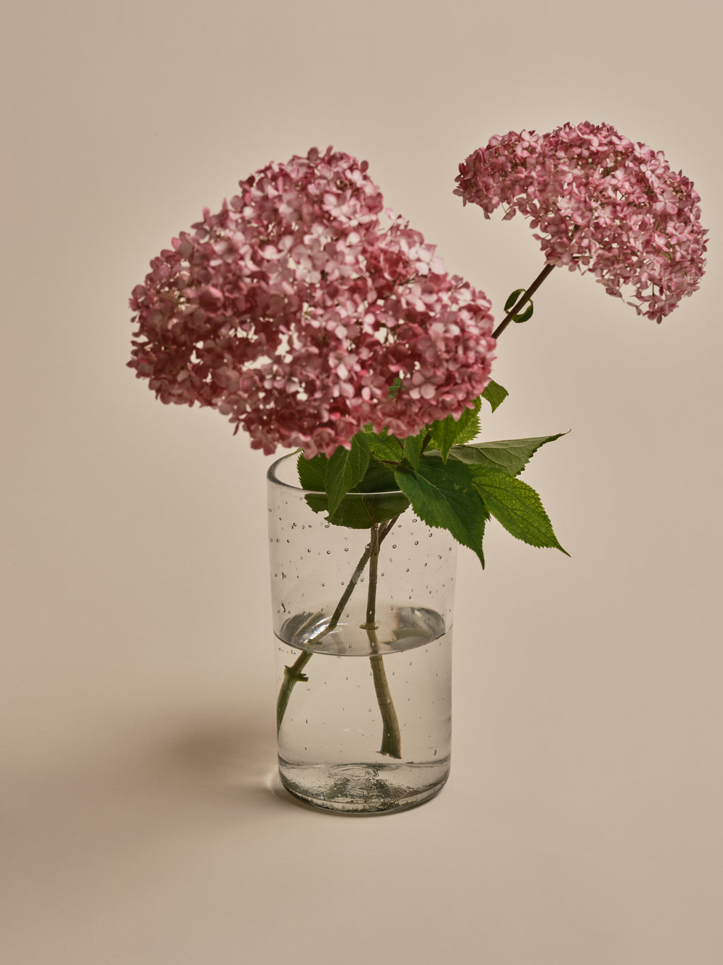 Bubble Vase