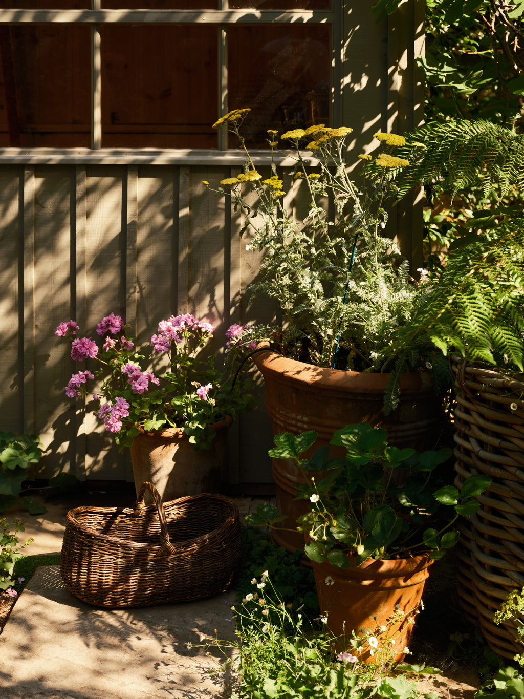 Planters Basket