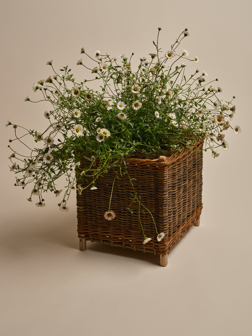 Wicker Cache Pot